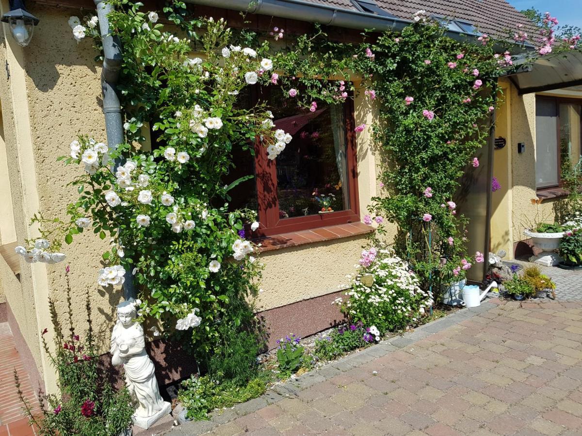 Fewo Abendrot Poel Exterior foto